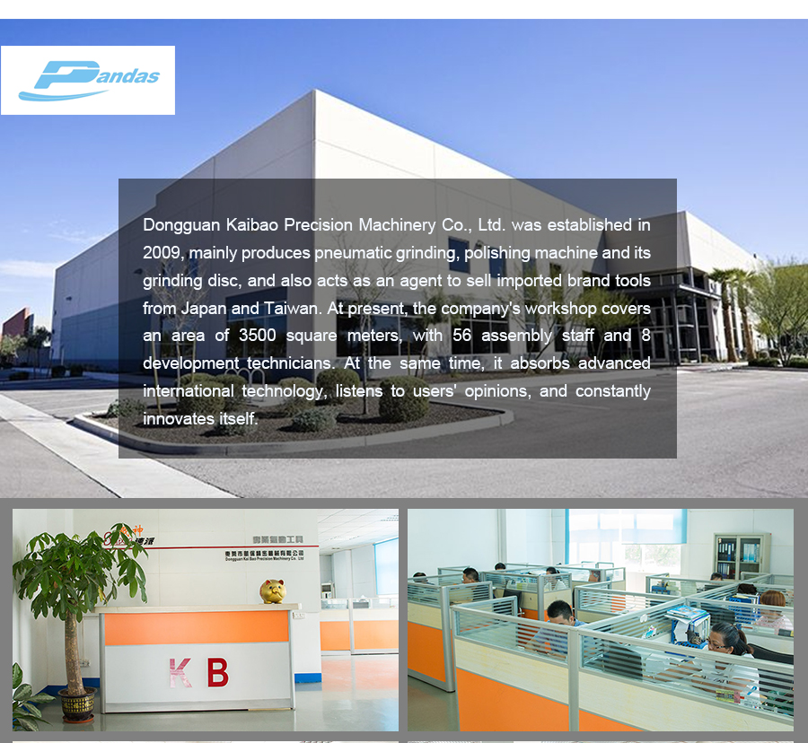 Ponceuse &agrave; 5 pouces